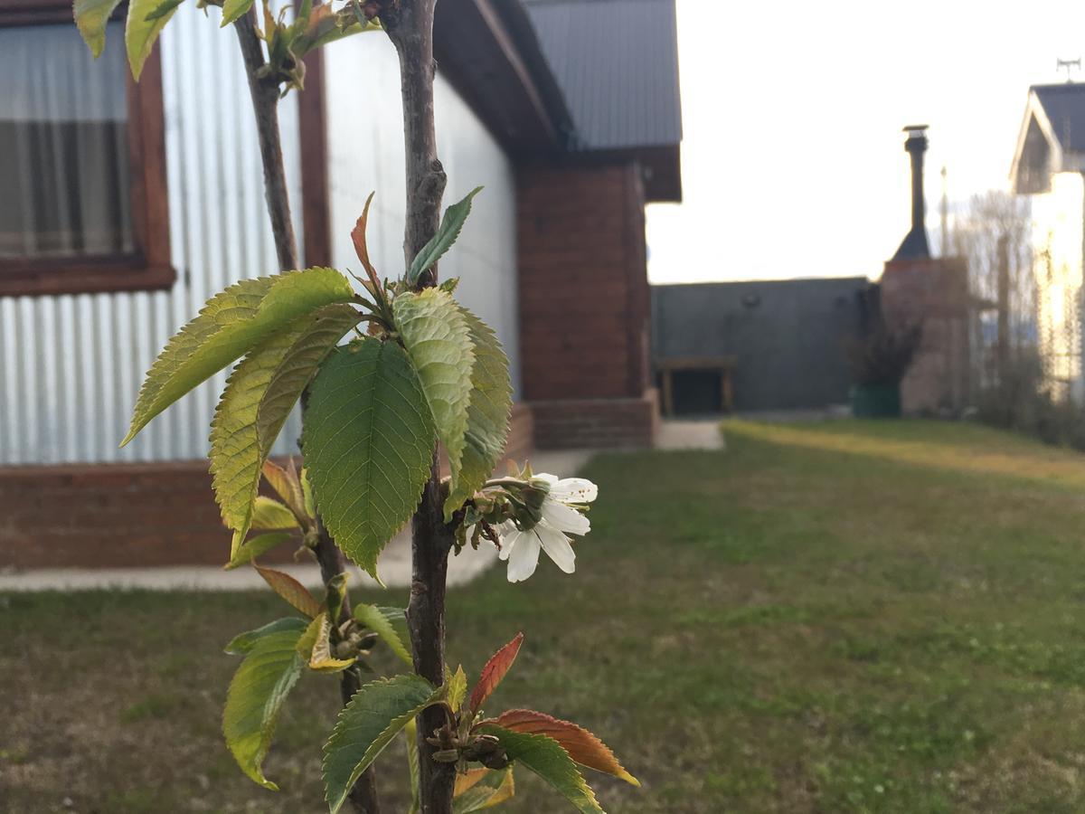 Casa Patagonica Los Frutales El Calafate Extérieur photo